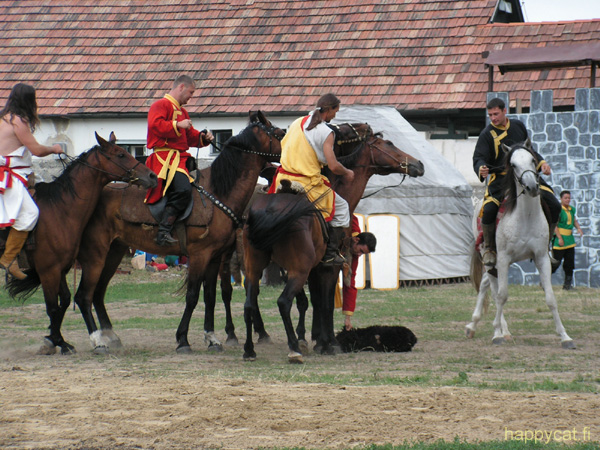 PICT0266