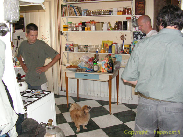 PICT0155_friends_and_the_dog